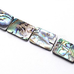 Natural Paua Shell Beads Strands&nbsp;SSHEL-J047-10B-01