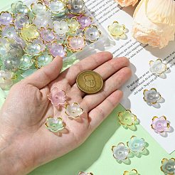 100Pcs Transparent Acrylic Bead Caps&nbsp;TACR-CJ0001-70B