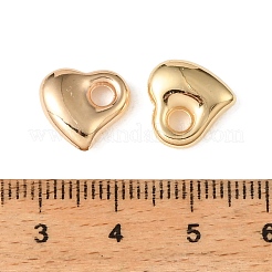 CCB Plastic Pendants&nbsp;CCB-C002-03B-G