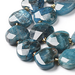 Natural Apatite Beads Strands&nbsp;G-B044-B06-01