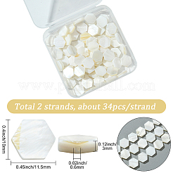 2 Strands Natural Freshwater Shell Beads Strands&nbsp;SSHEL-SC0001-36C