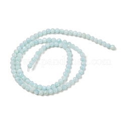 Natural Freshwater Shell Dyed Beads Strands&nbsp;SHEL-R100-12A-02