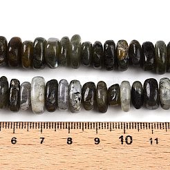Natural Labradorite Beads Strands&nbsp;G-T141-09