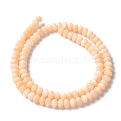 Natural Freshwater Shell Beads Strands&nbsp;SSHEL-C013-07H