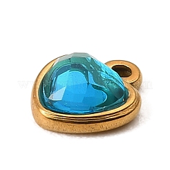 304 Stainless Steel Pendants&nbsp;STAS-Z199-02G-06