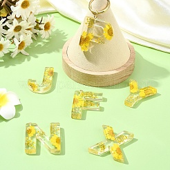 26Pcs 26 Styles Transparent Epoxy Resin Pendants&nbsp;CRES-YW0002-28L