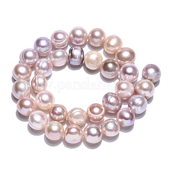 Natural Cultured Freshwater Pearl Beads Strands&nbsp;PEAR-N013-10B
