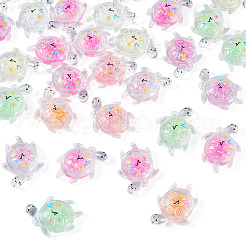30Pcs Transparent Acrylic and Glitter Powder Pendants&nbsp;TACR-TA0001-91