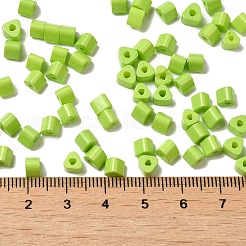 Baking Paint Glass Bead&nbsp;SEED-H002-K-D302