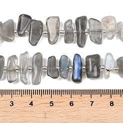 Natural Labradorite Beads Strands&nbsp;G-C273-B01