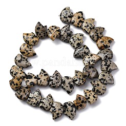Natural Dalmatian Jasper Beads Strands&nbsp;G-F783-G06-01