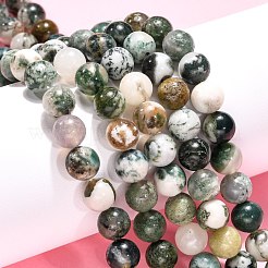 Natural Tree Agate Beads Strands&nbsp;X-G-H1633-8MM