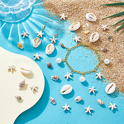 Natural Conch & Cowrie Shell Display Decorations&nbsp;DJEW-NB0001-53