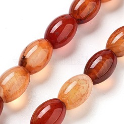 Natural Red Agate Beads Strands&nbsp;G-B106-B06-01