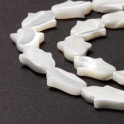 Natural Trochid Shell/Trochus Shell Beads&nbsp;SSHEL-O001-23B