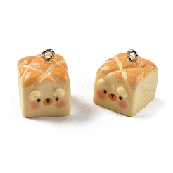Opaque Resin Pendants&nbsp;RESI-G129-03