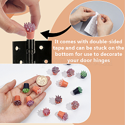 Succulent Plants Resin & Plastic Display Ornaments&nbsp;DJEW-GA0002-01