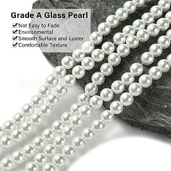 Eco-Friendly Glass Pearl Beads&nbsp;GLAA-S173-6mm-01