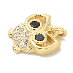 Rack Plating Brass Micro Pave Cubic Zirconia Connector Charms&nbsp;KK-K293-34G