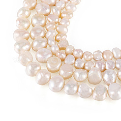 2 Strands 2 Srtyles Natural Cultured Freshwater Pearl Beads Strands&nbsp;PEAR-TA0001-20