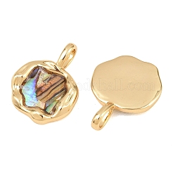Brass Natural Paua Shell Irregular Pendants&nbsp;KK-I453-01G-01