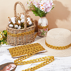 Polyester Half Round Lace Trim Ribbon&nbsp;DIY-WH0661-52B