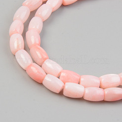 Natural Freshwater Shell Beads Strand&nbsp;X-SHEL-T017-39B