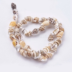 Natural Sea Shell Beads Strands&nbsp;BSHE-K012-07