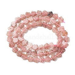 Natural Strawberry Quartz Beads Strands&nbsp;G-B138-C17-01