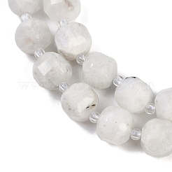 Natural Rainbow Moonstone Beads Strands&nbsp;G-B125-O10-01