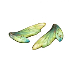2Pcs Transparent Epoxy Resin Pendants&nbsp;RESI-A044-05A