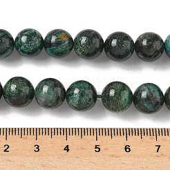 Natural Fuchsite Beads Strands&nbsp;G-G271-B03-10mm