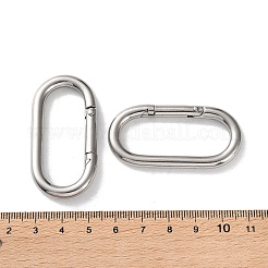 304 Stainless Steel Spring Gate Clasps&nbsp;STAS-A193-01P