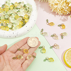 60Pcs Transparent Arylic Pendants&nbsp;PALLOY-ME00036