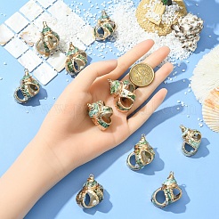 5Pcs Natural Sea Shell Pendants&nbsp;SSHEL-YW0001-11