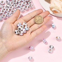 60Pcs 10 Styles Opaque Resin European Beads&nbsp;RPDL-YW0001-21