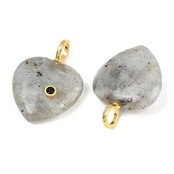 Natural Labradorite Pendants&nbsp;G-D104-01G-10