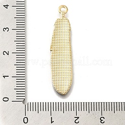 Alloy Enamel Pendants&nbsp;FIND-G078-34G-06