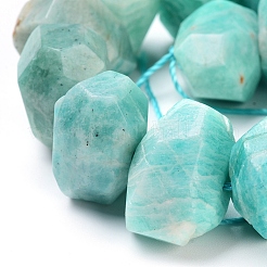 Natural Amazonite Beads Strands&nbsp;G-I283-C03