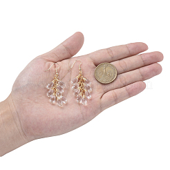 Dangle Earrings&nbsp;EJEW-JE04066