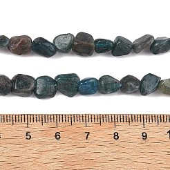 Natural Apatite Beads Strands&nbsp;G-F821-F01-01
