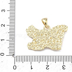 Brass Pendants&nbsp;KK-C251-06B-G