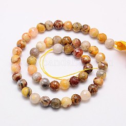 Natural Crazy Lace Agate Beads Strands&nbsp;G-G542-14mm-10