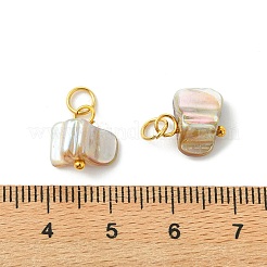Natural Freshwater Shell Pendants&nbsp;PALLOY-JF05536-01