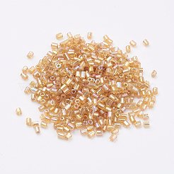 11/0 Two Cut Round Hole Glass Seed Beads&nbsp;SEED-G006-2mm-632