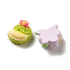 Flower Fruit Opaque Resin Decoden Cabochons&nbsp;CRES-P033-01