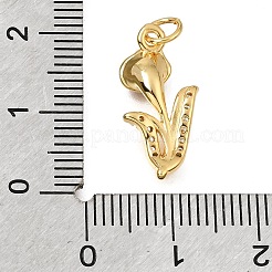 Brass Micro Pave Clear Cubic Zirconia Pendants&nbsp;CU-G605-18G