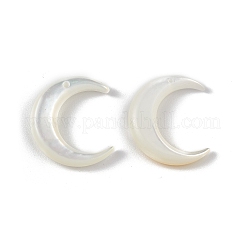 Natural White Shell Beads&nbsp;SSHEL-M021-14