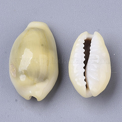Natural Cowrie Shell Beads&nbsp;SSHEL-N034-C-26