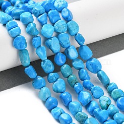 Natural Howlite Turquoise Beads Strands&nbsp;G-P497-01C-55